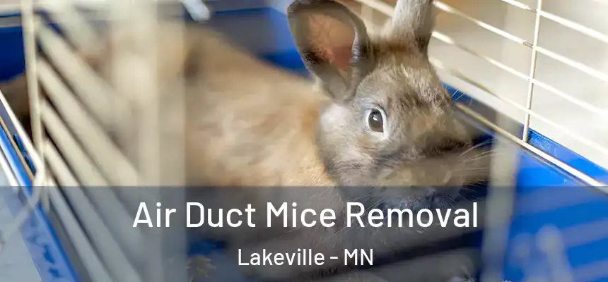 Air Duct Mice Removal Lakeville - MN