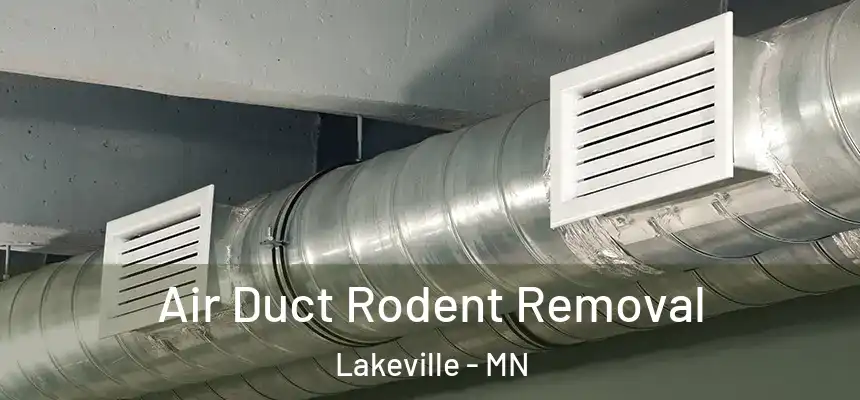 Air Duct Rodent Removal Lakeville - MN