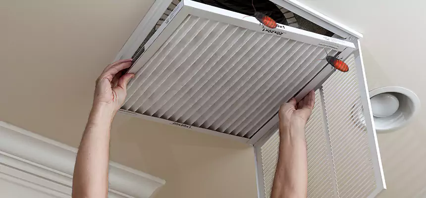 Preventive Cockroach-Proofing for Ducts in Lakeville