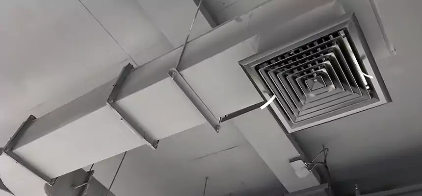 Restorative Allergy Relief Vent Cleaning – Coil, Blower & Housing Detail in Lakeville