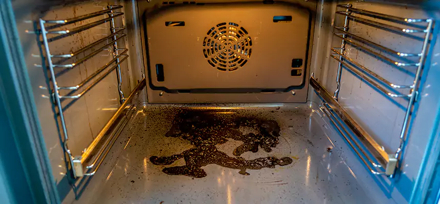 Our Dryer Vent Mold Cleaning Services in Lakeville, MN