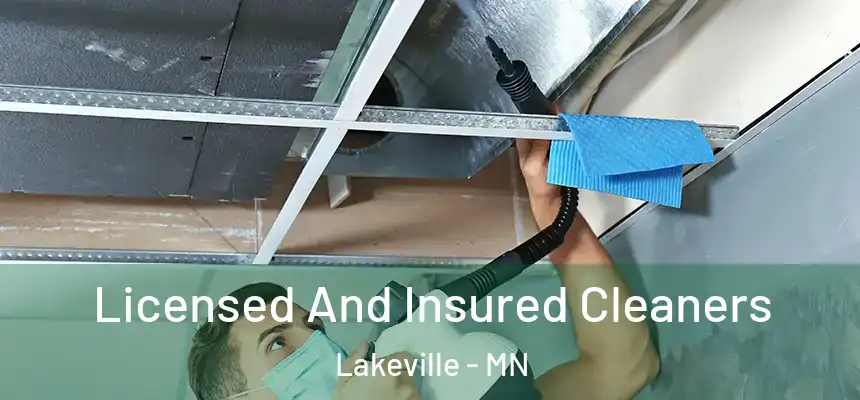  Licensed And Insured Cleaners Lakeville - MN