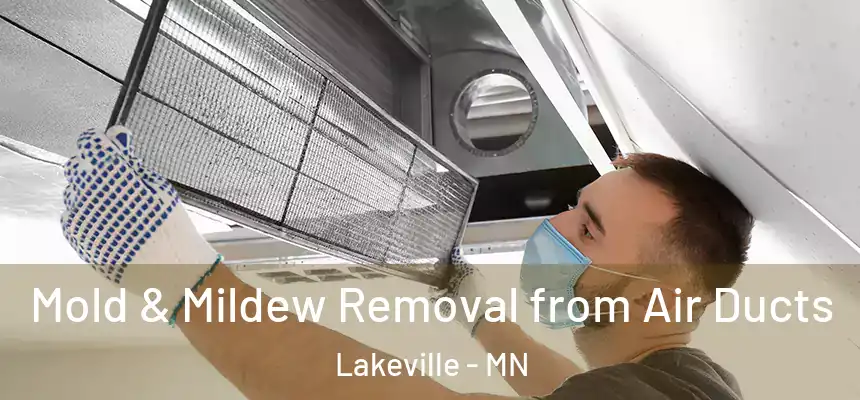Mold & Mildew Removal from Air Ducts Lakeville - MN
