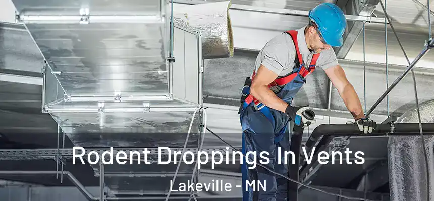  Rodent Droppings In Vents Lakeville - MN