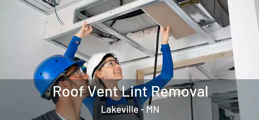  Roof Vent Lint Removal Lakeville - MN