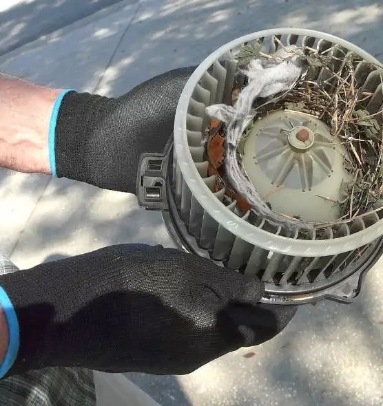 About Air Duct Mice Removal in Lakeville, MN