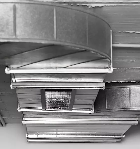 Professional Air Duct Pest Removal in Lakeville, MN