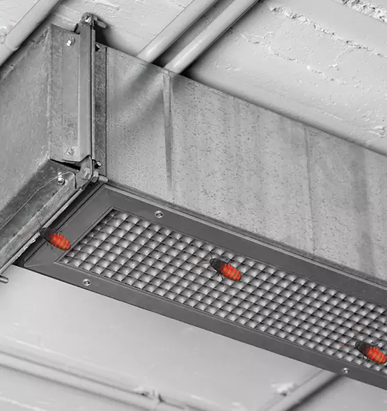 Affordable Insect Removal from Air Ducts in Lakeville, MN