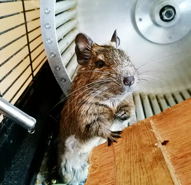 Why Homeowners & Businesses Trust Us Lakeville, MN