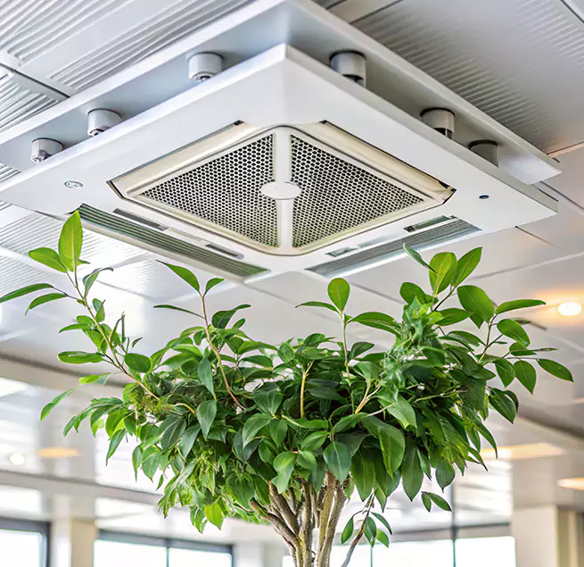 Why Homeowners & Businesses Trust Us in Lakeville, MN?