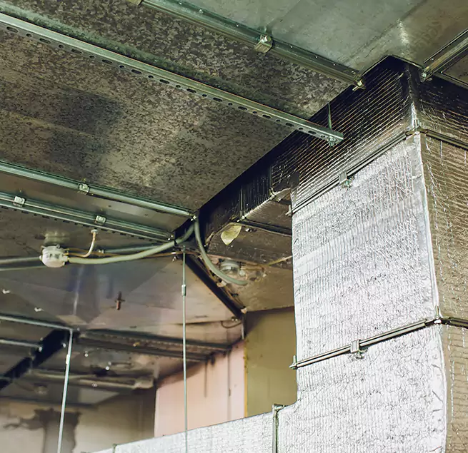 Why Homeowners & Businesses Trust Us in Lakeville, MN?